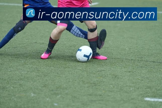 澳门太阳城网站平台生态图