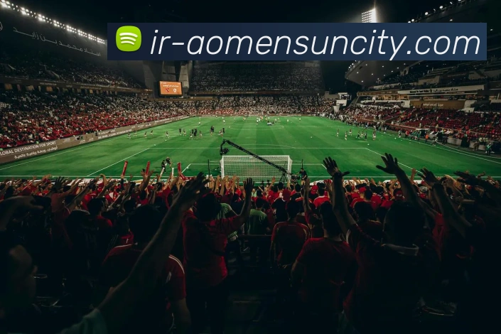 未来规划